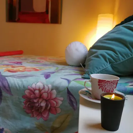 Welcome To Discover The Magic Amazing Tenerife !! Private Bath Breakast Wf :) Pensión Candelaria